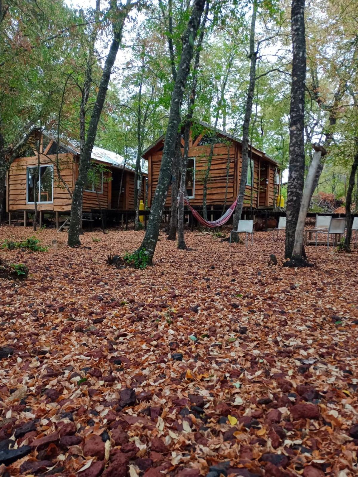 Cabanas Huilipan Las Trancas Exterior photo
