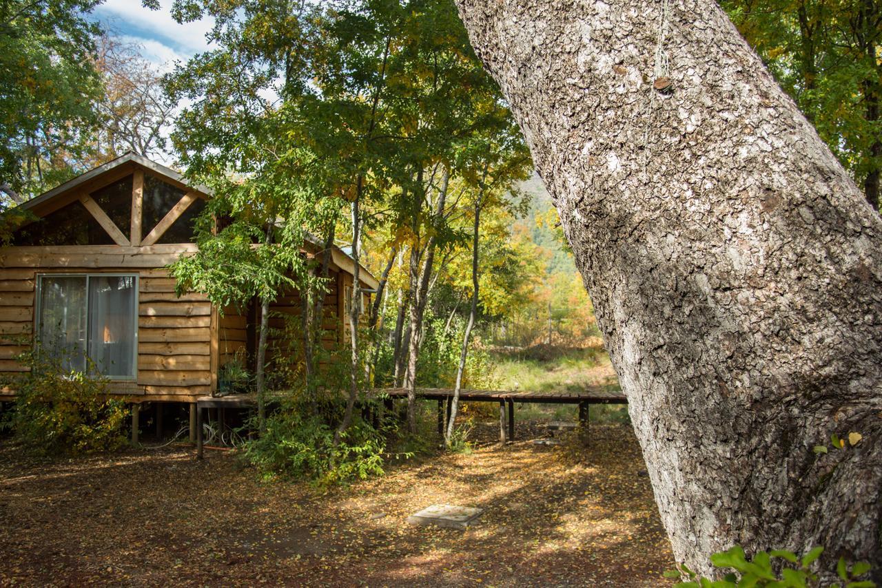 Cabanas Huilipan Las Trancas Exterior photo